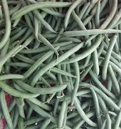 green beans