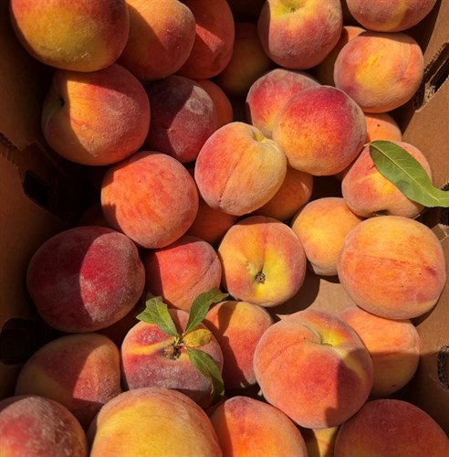 peaches